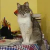 Отзыв от Эмилия Гончарова